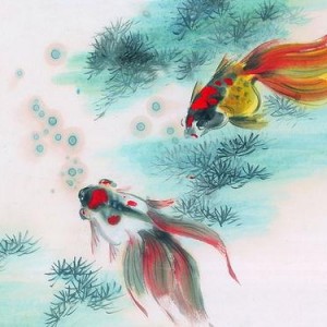 娱乐吃瓜酱飞鸟与鱼,娱乐吃瓜酱的甜蜜邂逅